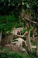 Pedida Susana e Ivan