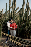 Alicia+Omar/Carlos-Save